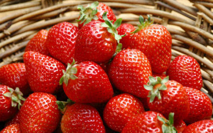 儿童草莓多吃 可能引发过敏性皮疹