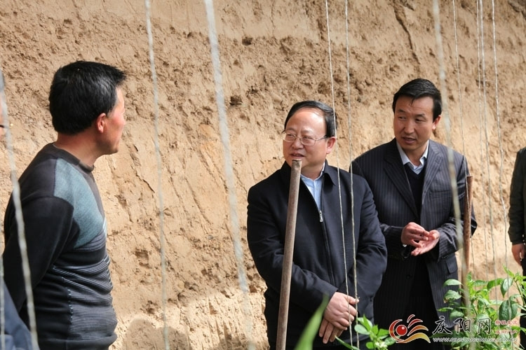 庆阳:李银强调巩固脱贫成果努力推进双联行动再上新台阶_手机搜狐网