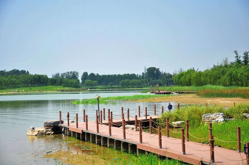 踏青不走寻常路 相约北京十大湿地公园