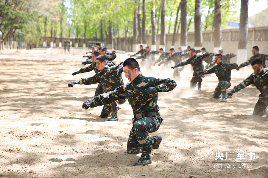 首个全民国家安全教育日将至北京卫戍区官兵与学子互动