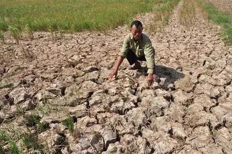 该国中部和南部地区已有23万公顷的稻田被毁,约180万人面临水资源短缺