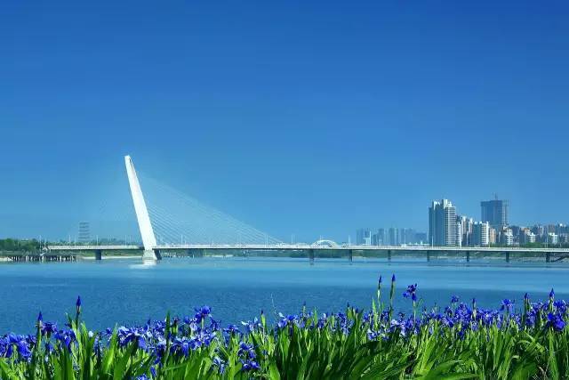 陕西未来五年计划投资2万亿建设重点项目-搜狐