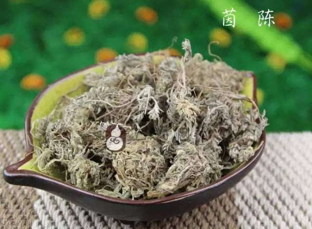 春天吃茵陈,清肝祛黄气!