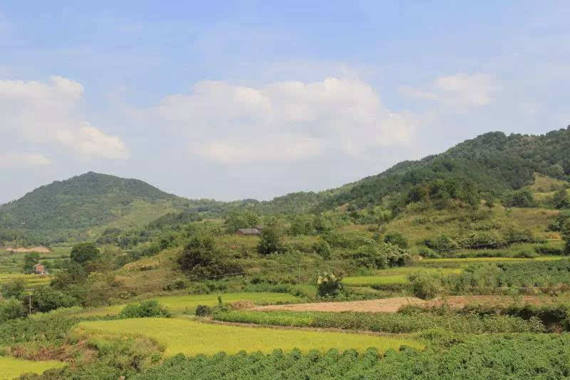 超 在我刚开始到梅川工作时,杨铺还是隔壁乡镇两路乡的一个小山村