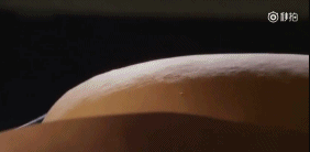 [内涵囧图]为何你走路这么嚣张 全怪老司机的内