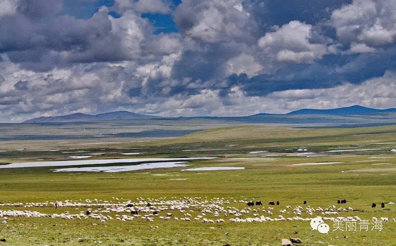 这里位于玉树藏族自治州杂多县,包括青海三江源国家级自然保护区果