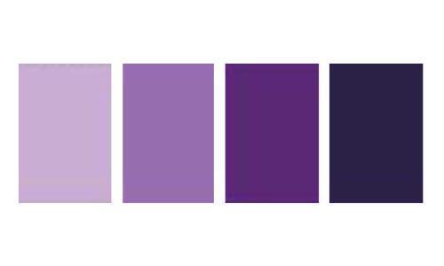 紫色东方系