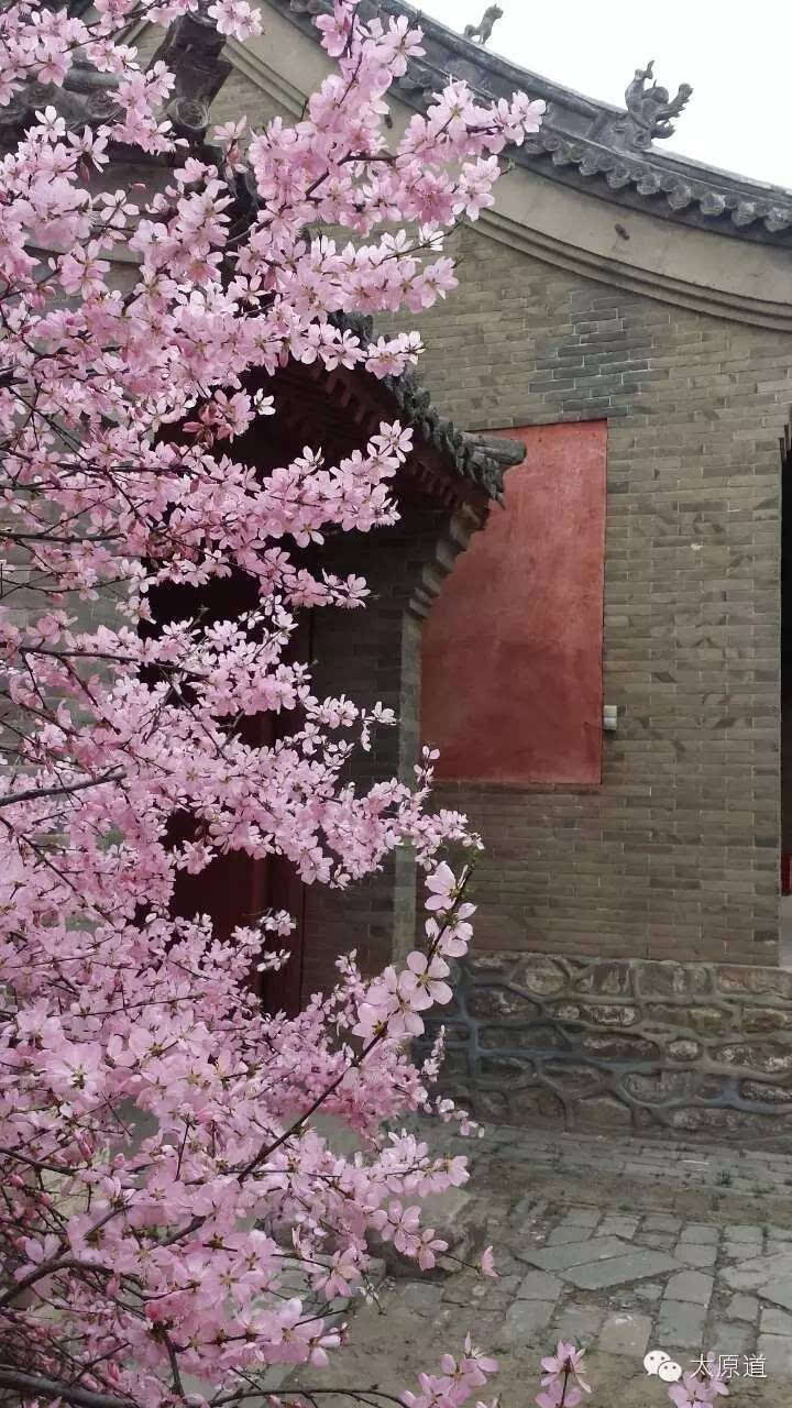 其它 正文  大唐佛光,山寺桃花始盛开 五台县豆村镇佛光寺的东大殿,是