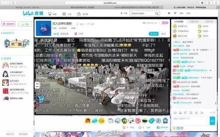 bilibili直播间发弹幕问题