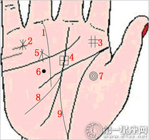 手相:九大财富纹,你有几条?