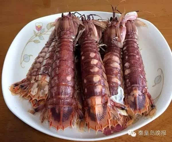 吃>>>>  清蒸皮皮虾