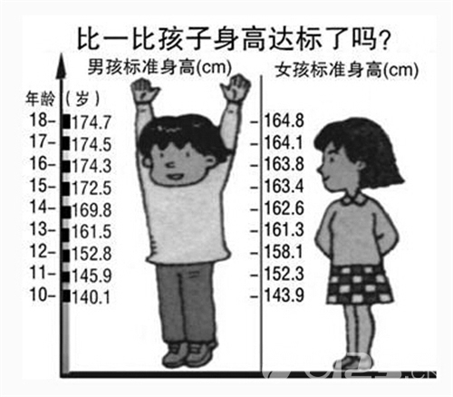 孩子身高落差5厘米 赶紧测骨龄!测骨龄多少钱?