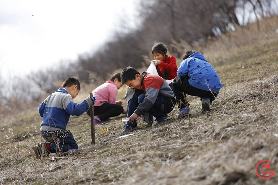 龙井市乡村的孩子们在野外挖山菜,玩耍嬉戏,亲切温馨的画面或许勾起几