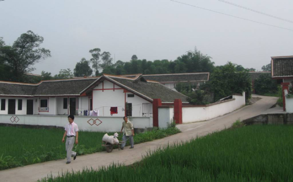 德国网友:中国农村房子都是丑陋的混泥土怪物