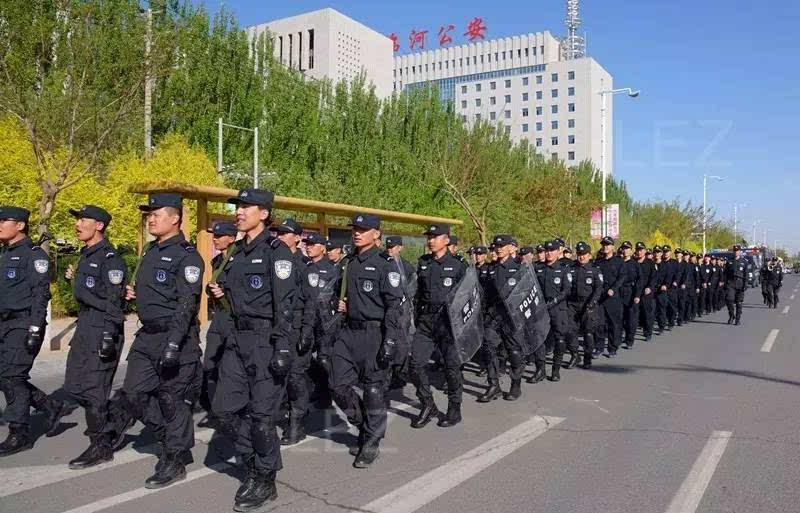 昨日(4月28日)清晨,一支全副武装的公安民警队伍出现在临河街头,与之