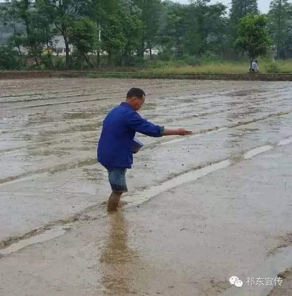 祁东白鹤街道人口_祁东一中图片