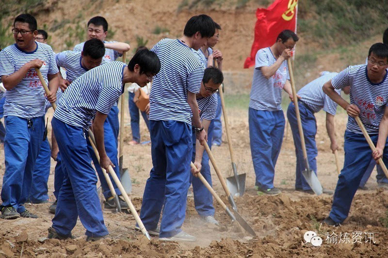 [聚焦]走进梁家河 扎根在延长 劳动大会战