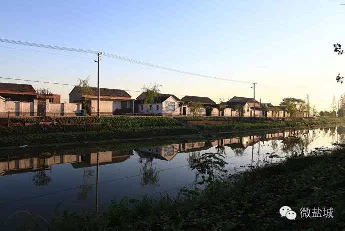 大老板五一开车回盐城农村老家,结果 看哭了!