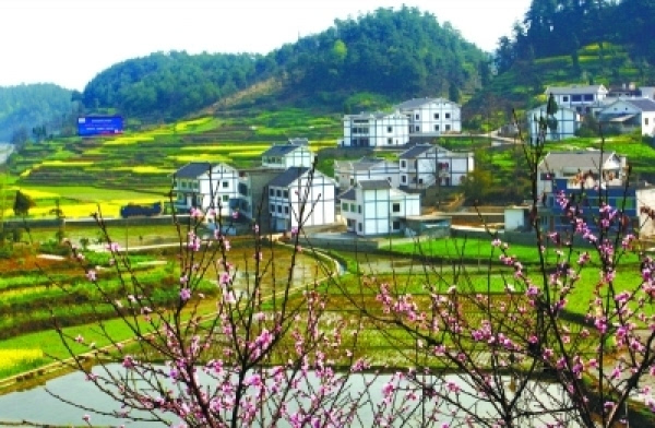 中国农村人口最多的村_中国人口最多的村庄,全村人都是同样的姓,人口相当于