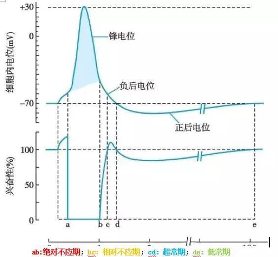 电势-ph图正式报告