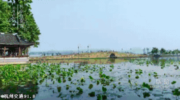 杭州的别称竟然是