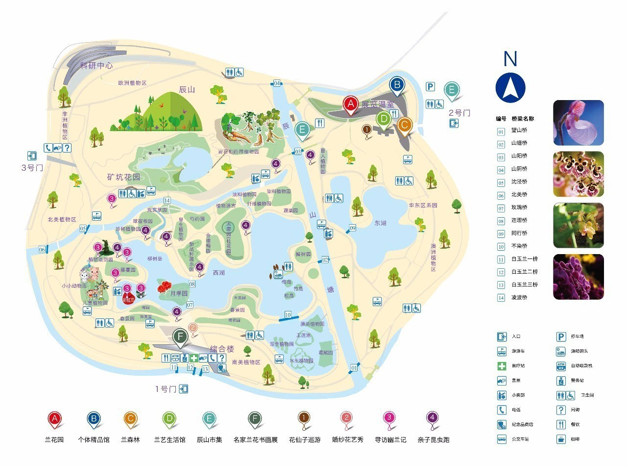 有这篇就够了 | 辰山植物园国际兰展赏花攻略