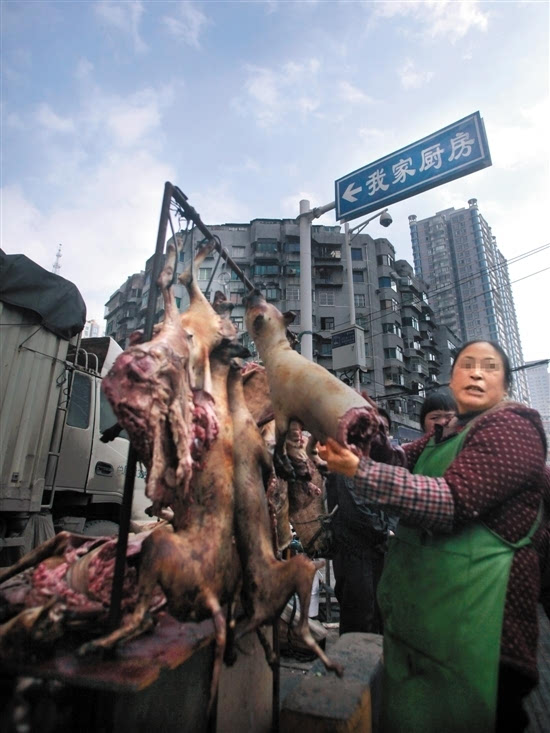 在贵阳市新路口菜市场上宰杀生狗,火烧狗皮,贩卖狗肉的摊贩一家接着一