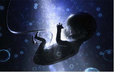 B超做多了真的会对胎儿有影响?哪些人一定要