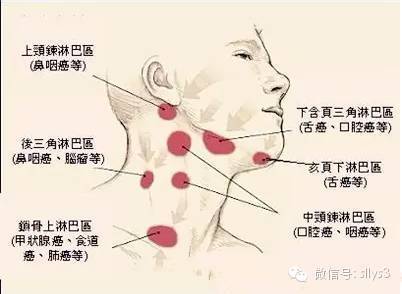 当颈部淋巴正常运作,可以改善