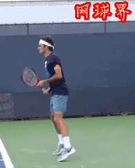 网球入门挥拍动作图解