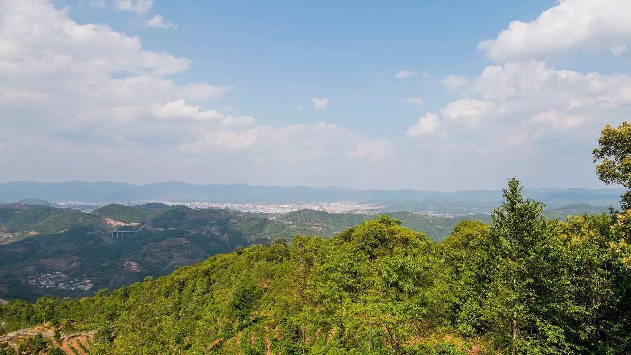 [普洱旅游]思茅的春天来了,夏天还会远吗? summer is