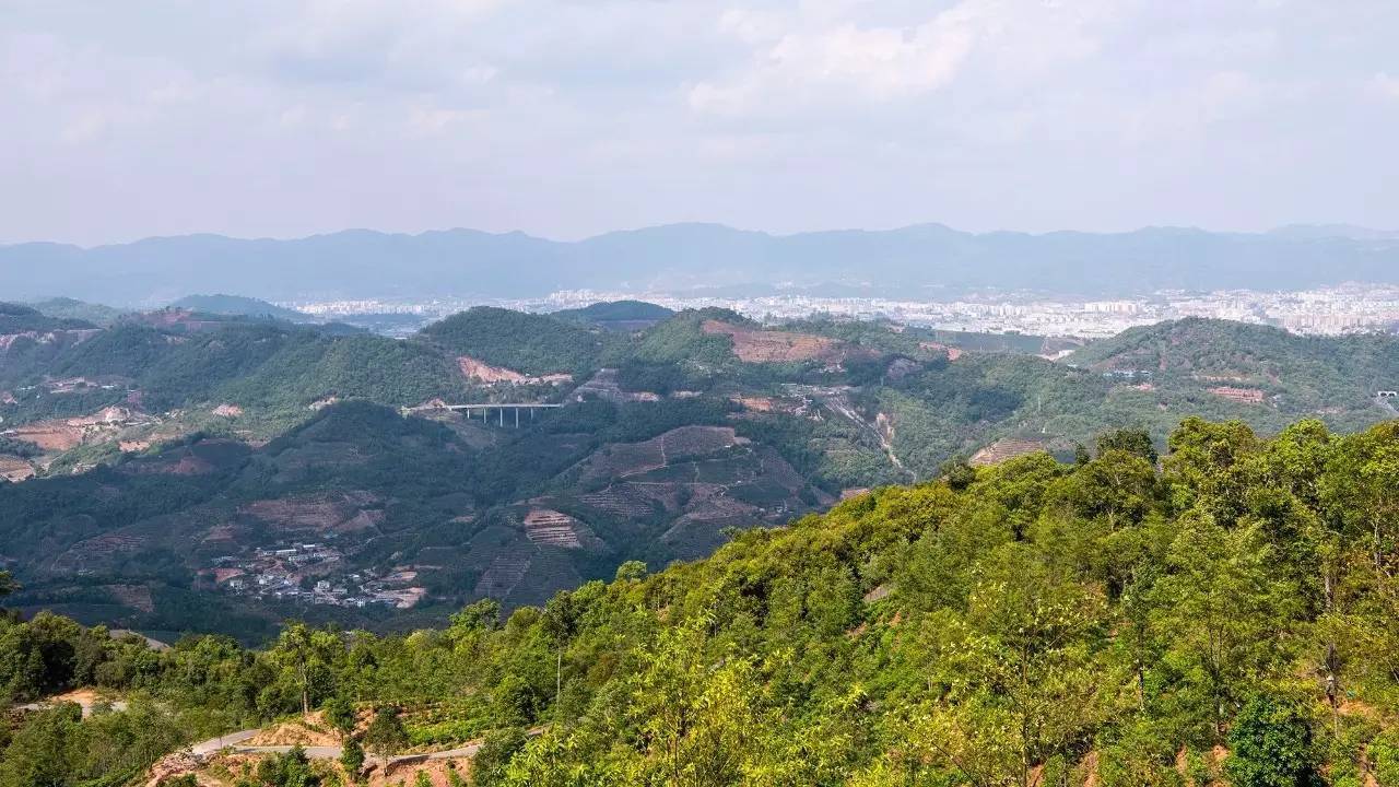 [普洱旅游]思茅的春天来了,夏天还会远吗? summer is