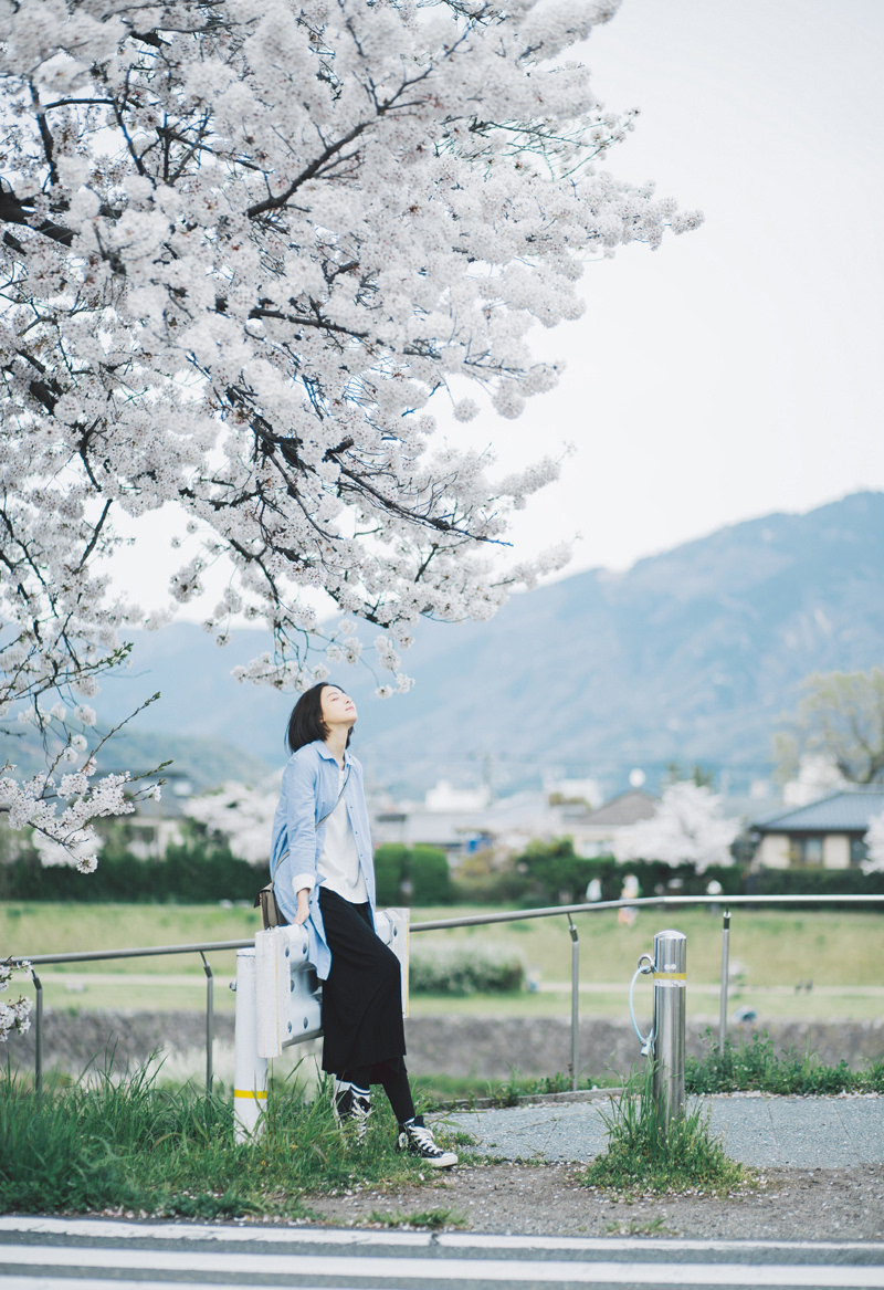 日系少女樱花树下唯美写真