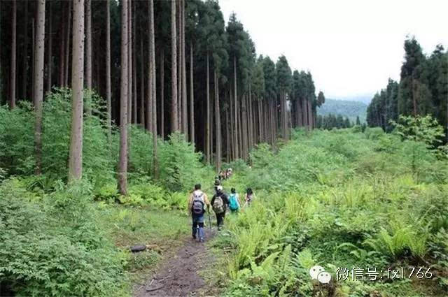 五月成都周边一日游景点推荐,想要的都在这里