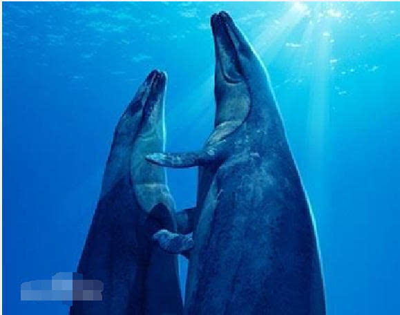 真正的龙:最强大的龙王鲸才是海洋霸主