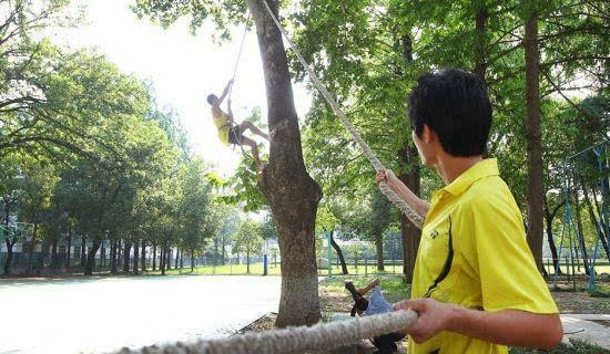 苏州两学校将开设爬树课:会安树木保护器,有赞成有反对