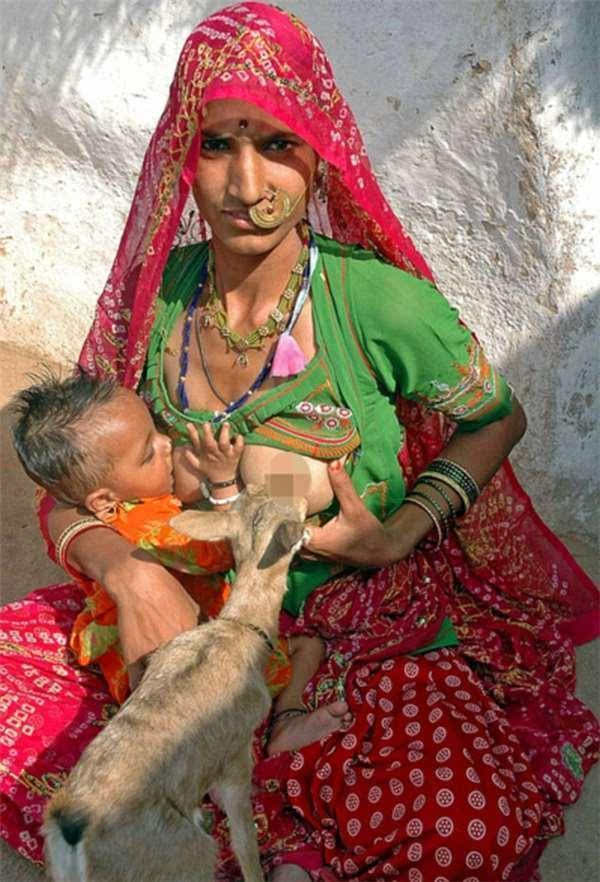 印度一村庄妇女将小鹿当孩子直接给其哺乳喂奶