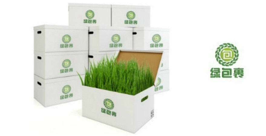 倡导绿色消费,环保主题特卖平台绿包裹如何将