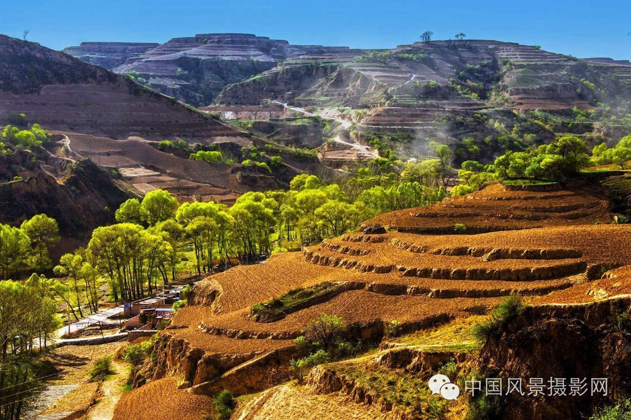 沟壑里的风景