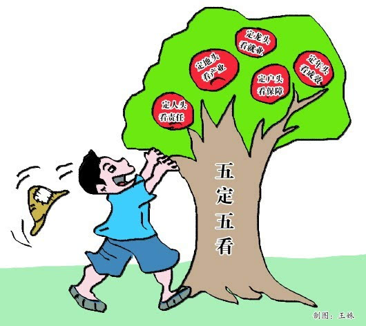 青林乡脱贫记之一:"五定五看"破题精准扶贫