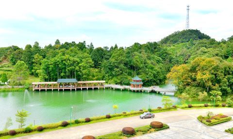 大北山国家森林公园是揭阳市唯一国家级的自然生态保护区,位于揭西县