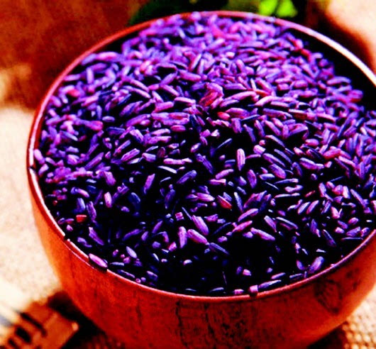 "紫米和香禾糯产量不高,一亩地才产600斤谷子,只有杂交稻的一半.
