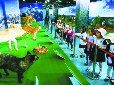 “野生动物标本展”在武汉科技馆开展 展期持续(图1)