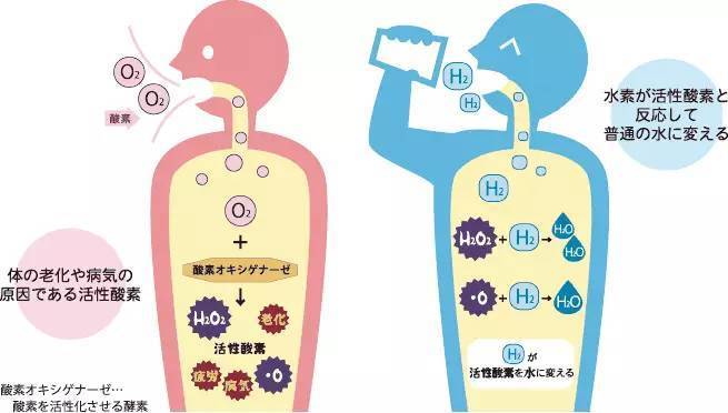 日本明星都在喝的水素水,究竟是什么鬼?-搜狐