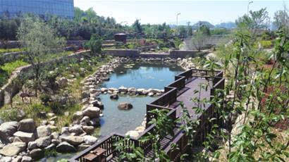 竹子庵公园生态景观水系开放图片