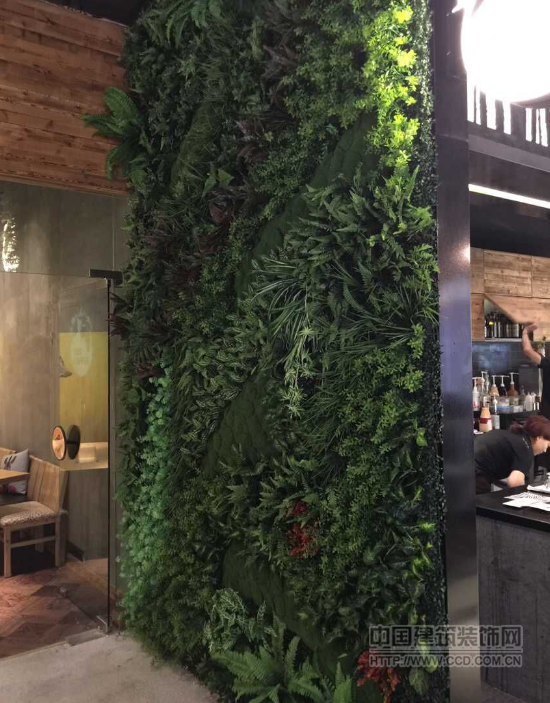 时尚装饰 如何让绿色植物爬上墙
