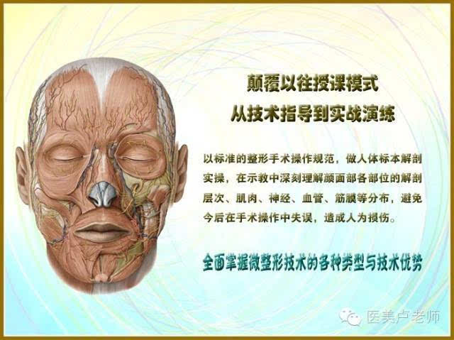 单点ppdo线鼻尖整形的要点 整形解剖实操是根据面部各组织结构退化