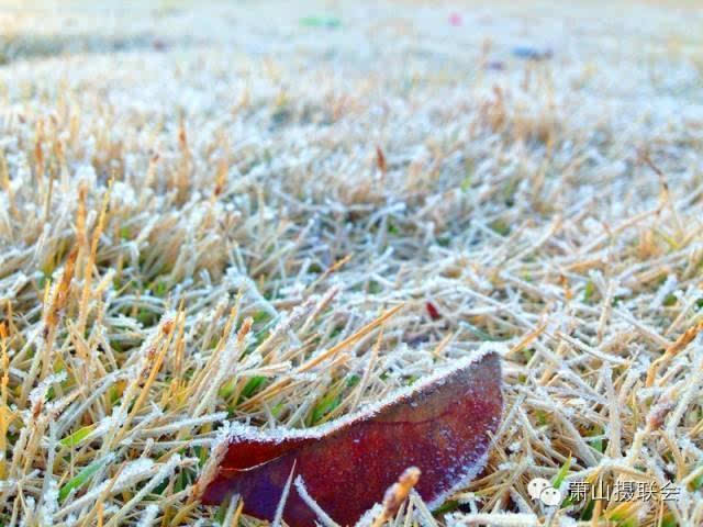 晨霜如雪 湿滑如冰