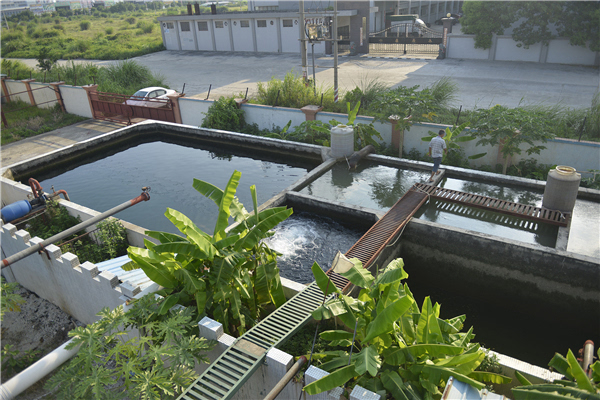 惠州将新建200座以上农村生活污水处理设施