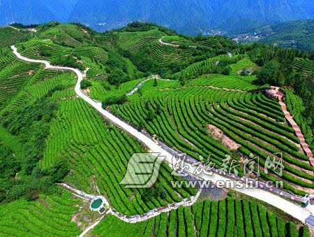 5月22日,空中俯瞰巴东县溪丘湾乡铧厂垭茶园,美景如画.